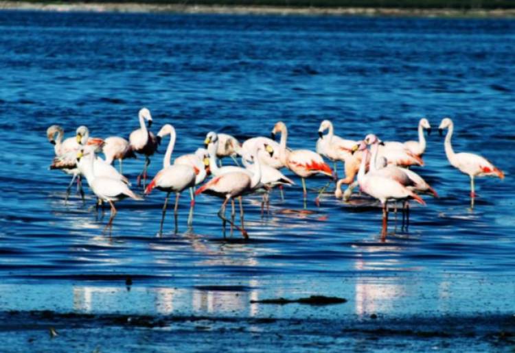 Ansenuza ya es parque nacional