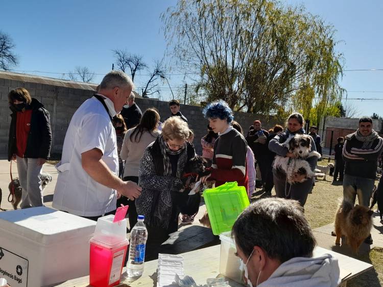 Campaña de vacunación antirrábica y desparasitación: ya se colocaron más de 2 mil dosis