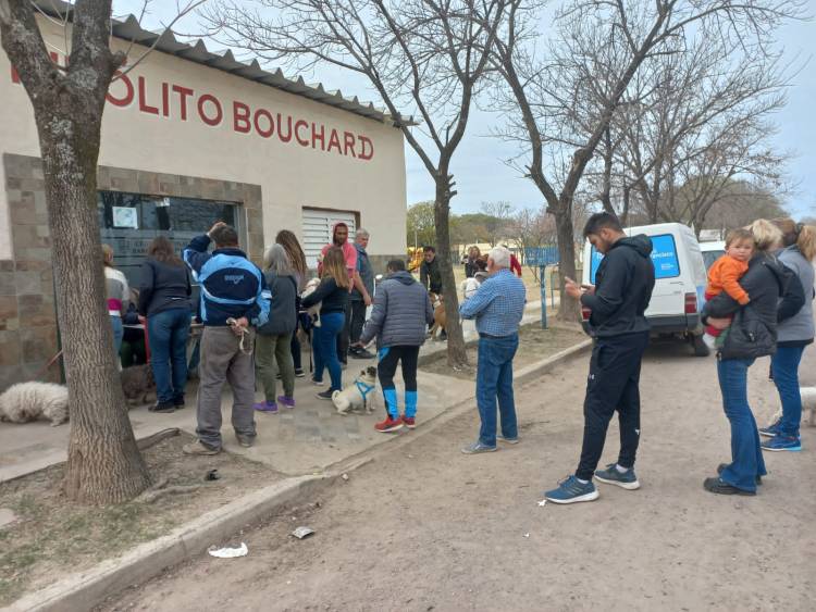 Avanza a buen ritmo la Campaña de Vacunación Antirrábica y Desparasitación en la ciudad