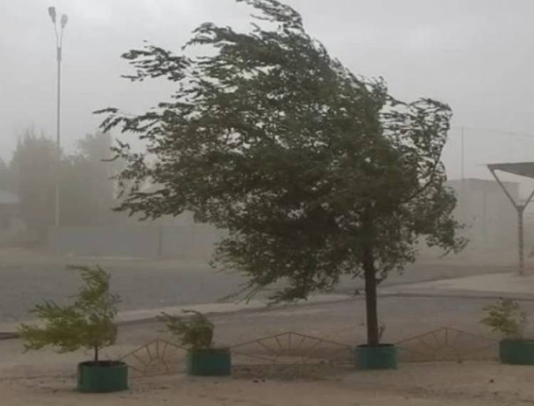 Un alerta por vientos fuertes se expande en la provincia hacia este jueves