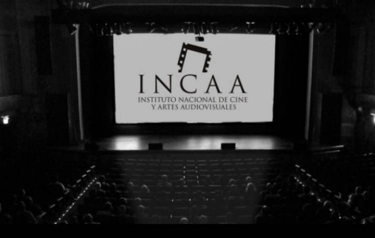 El Incaa lanzó el Censo Nacional de Acervo Audiovisual