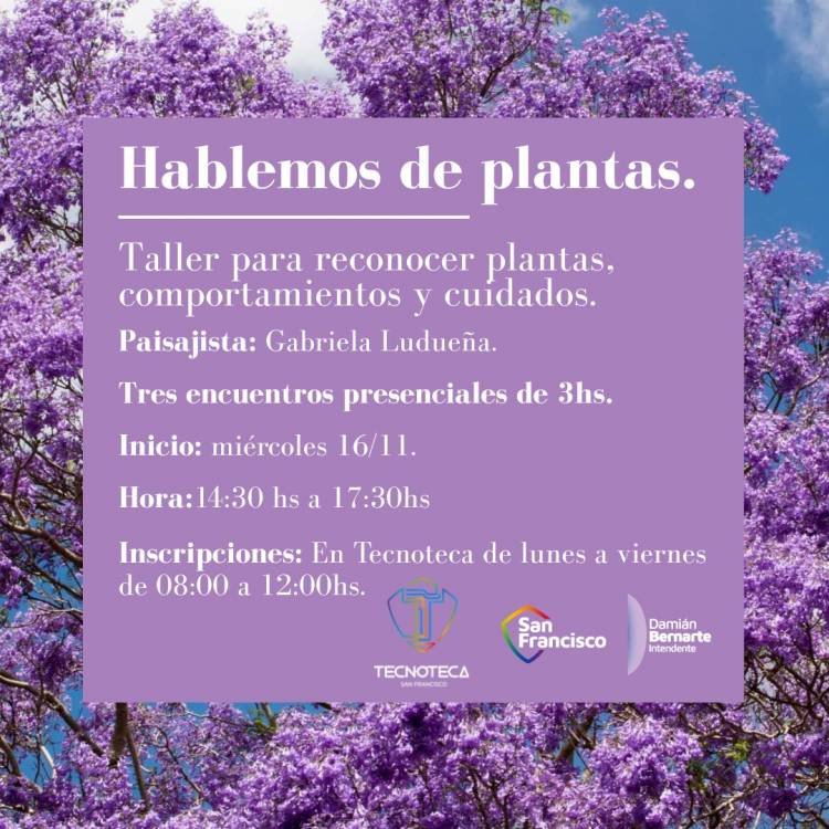 Taller gratuito “Hablemos de Plantas”