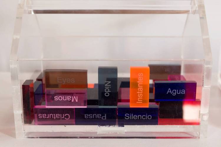 Dos nuevas obras de artistas cordobesas integran la Colección de la Provincia