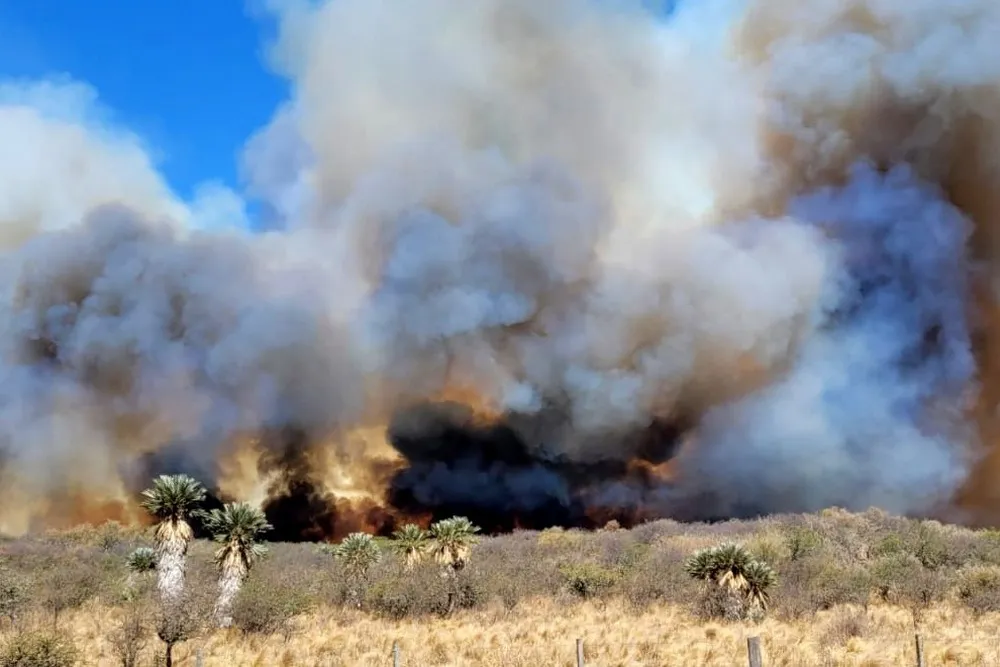 Bomberos voluntarios combaten un incendio desatado en Ambul