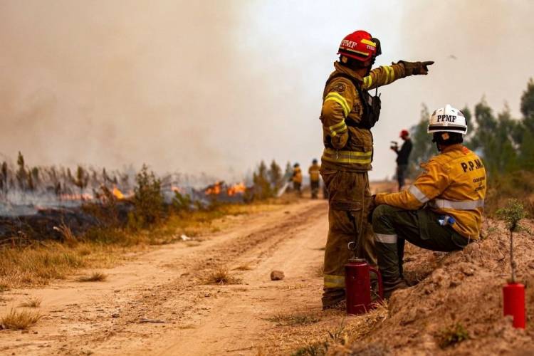 Controlaron los incendios de Tulumba y San Carlos Minas
