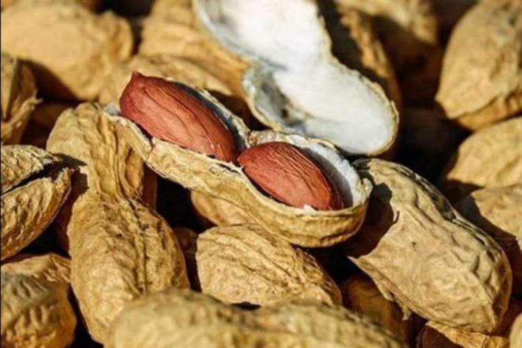 Se viene el Congreso Internacional Ciencia e Innovación en Maní