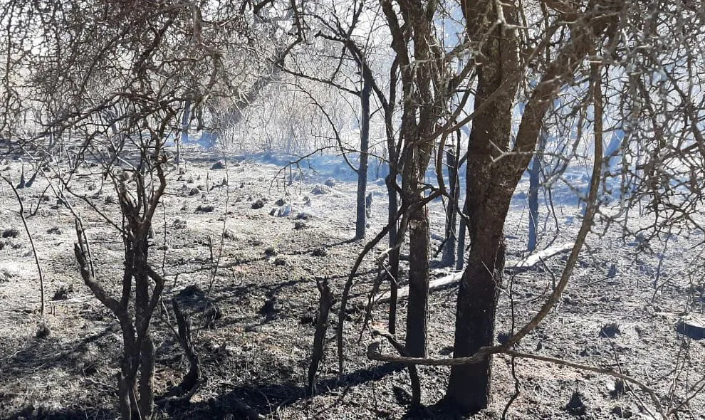 Bomberos contuvieron el incendio que se desató en el valle de Traslasierra