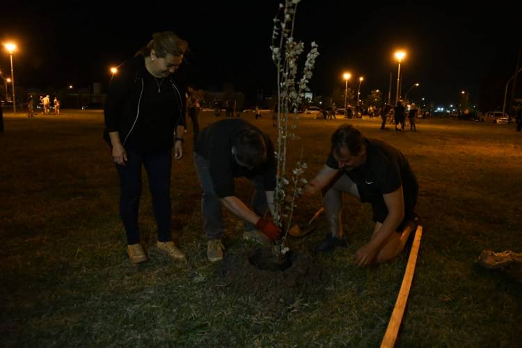 Se plantaron 60 árboles en la Plaza de las Iglesias Cristianas Evangélicas