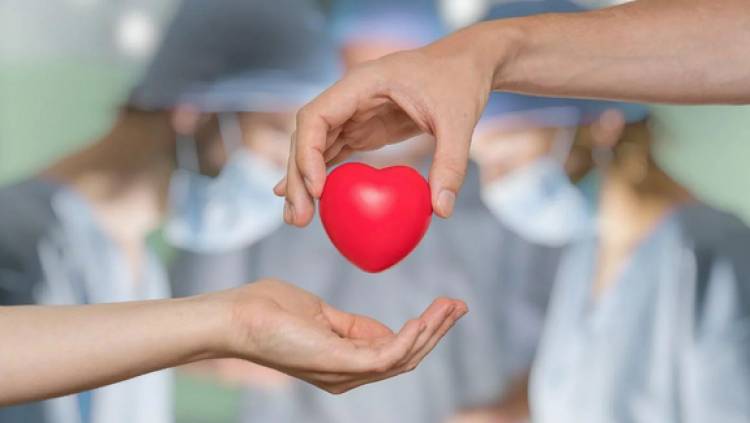 Donación de órganos: en 2023, Córdoba hizo posibles más de 400 trasplantes en el país
