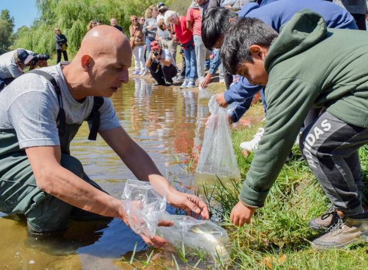 Ambiente coordina esfuerzos para proteger y restaurar poblaciones del dorado en el Río Ctalamochita