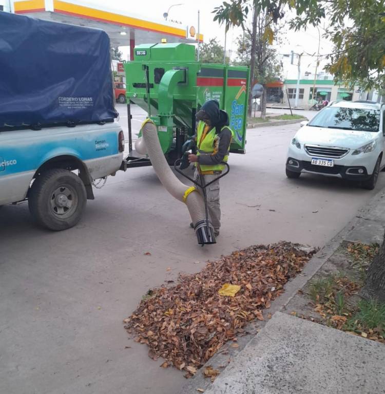 Continúan tareas de mantenimiento, barrido y limpieza en la ciudad