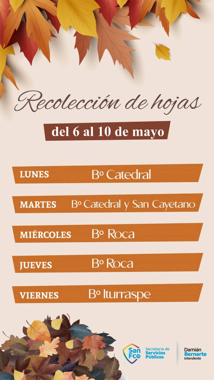 Continúa la campaña de recolección de hojas en la vía pública