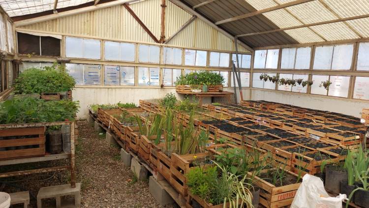 La Municipalidad y el Servicio Penitenciario capacitan a presos en tareas de jardinería