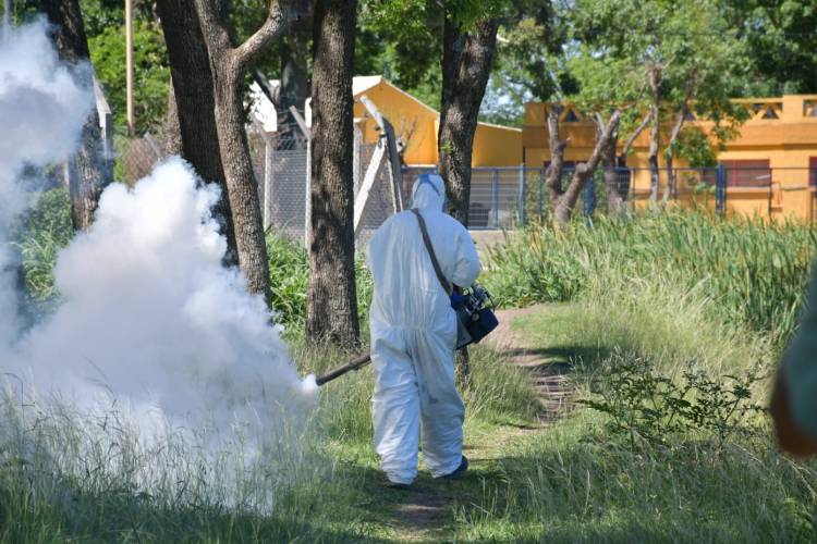 Prevención del dengue: se realizaron bloqueos masivos ante la detección de larvas del mosquito transmisor