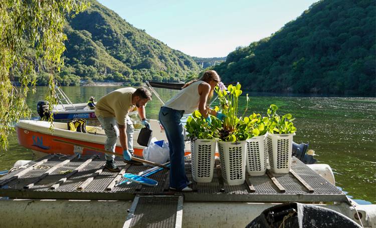 San Roque más limpio: Ambiente lanza un plan piloto de fitorremediación para sanear sus aguas