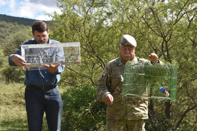 Más fauna silvestre devuelta a la naturaleza en La Calera