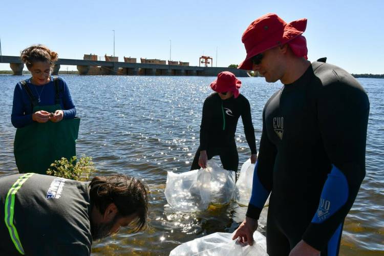 Embalse de Cruz del Eje: la Provincia presentó el Plan de Manejo para fortalecer la gestión sostenible del dique