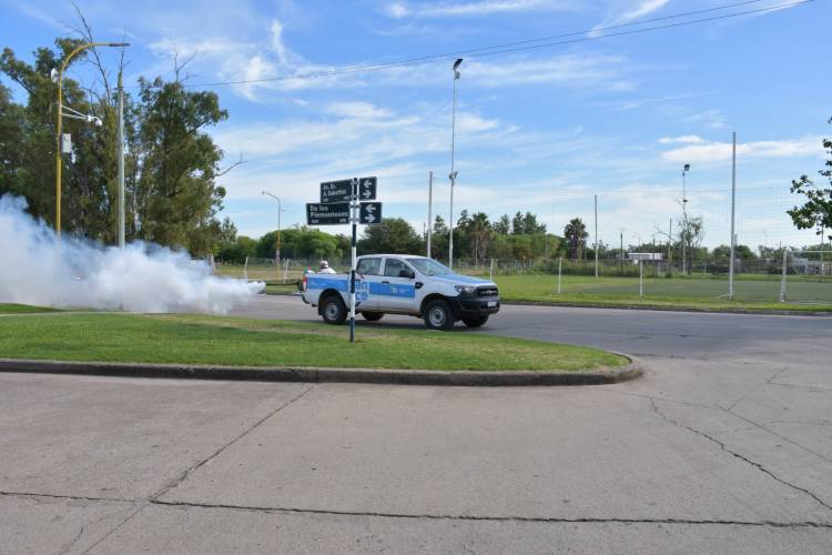 La Municipalidad intensificó su lucha contra el dengue con resultados exitosos