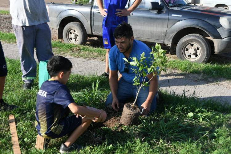 Municipio y el club La Milka plantaron 50 árboles en Loteo Procrear