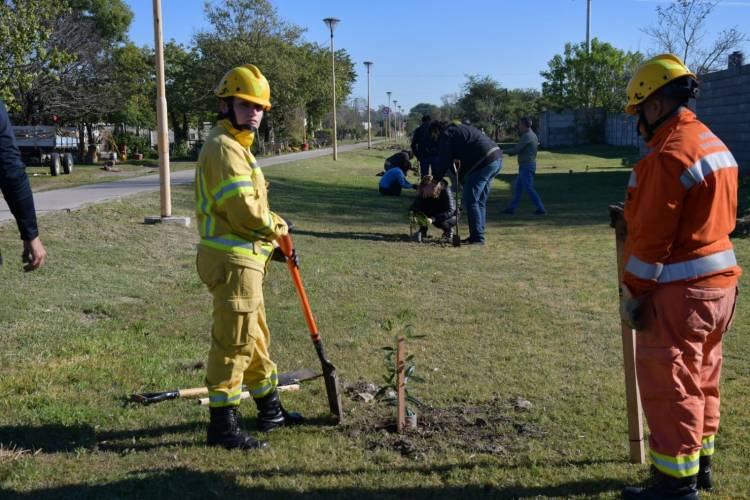 Continúa de manera firme la forestación en diferentes puntos de la ciudad