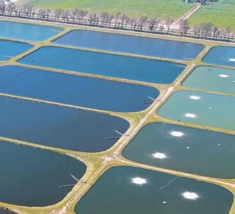 Recuperación de la Estación Depuradora de Aguas Residuales: Un paso hacia un futuro más limpio y ecológico