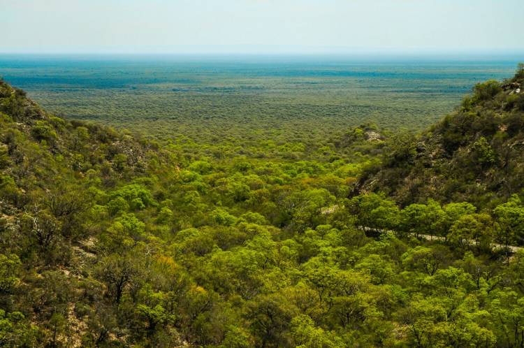 Abren las convocatorias del Programa de Pago por Servicios Ambientales para la conservación del bosque nativo