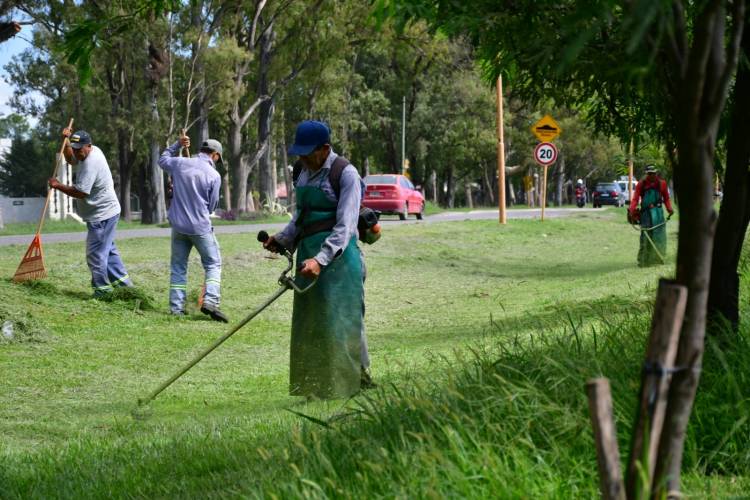 Continúan los trabajos en el área de Servicios Públicos