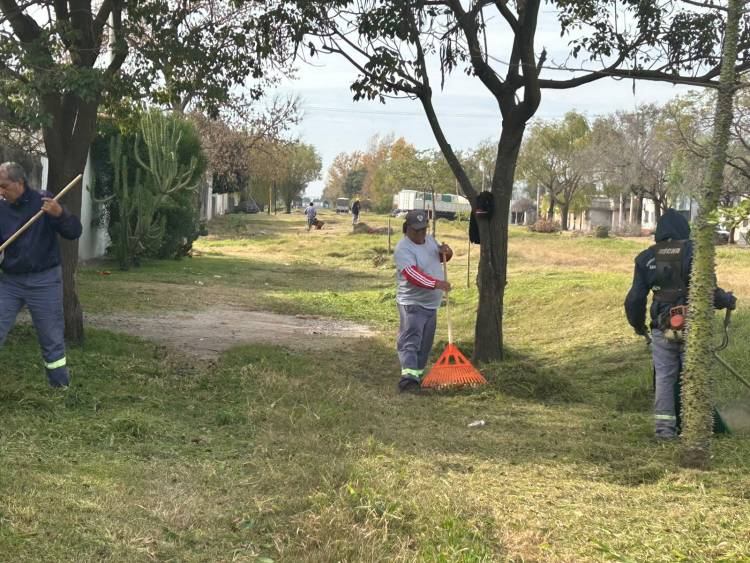 El municipio intervino más de 87.500 metros cuadrados en el sector del Ferrocarril Belgrano